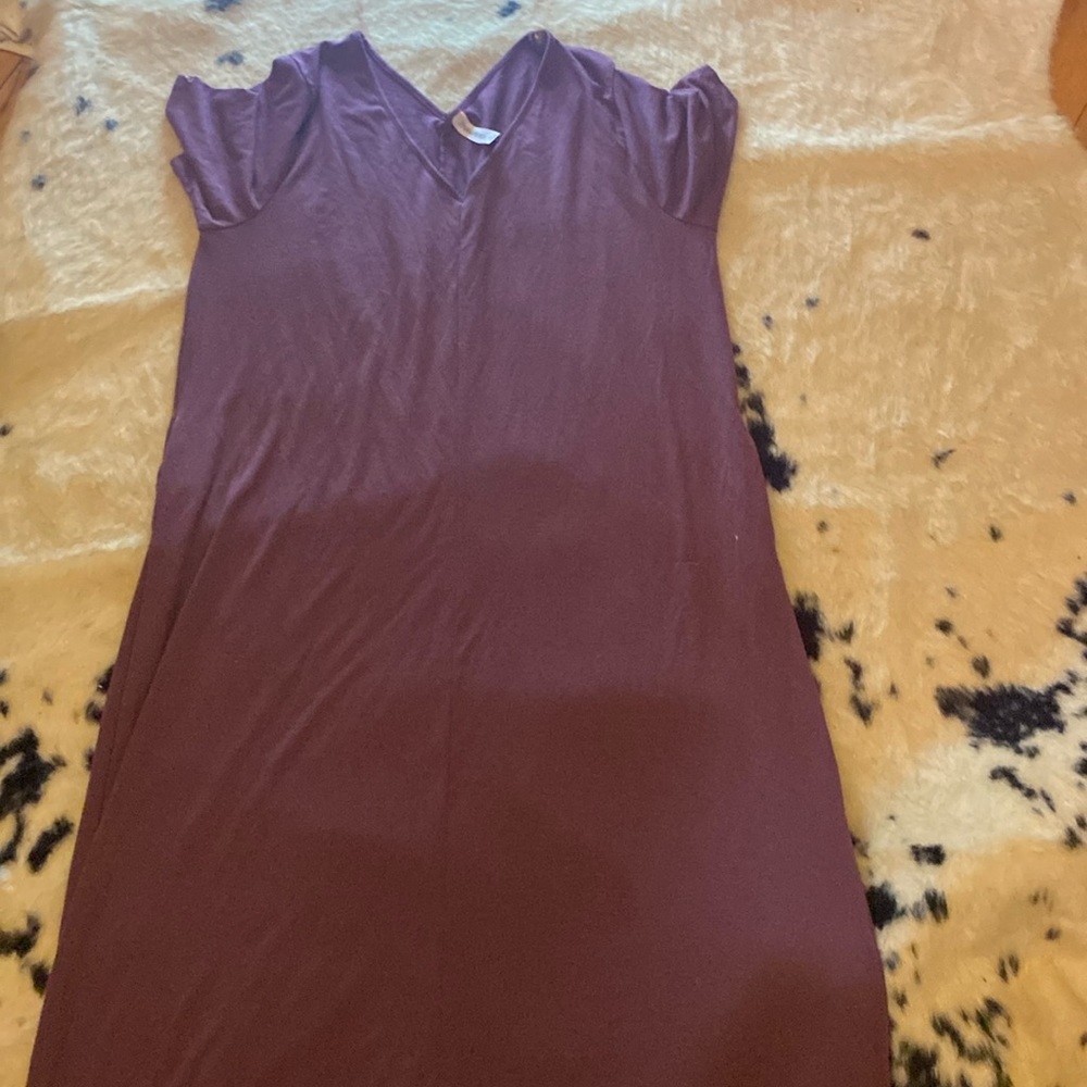 Long plum colored dress. Worn once or twice